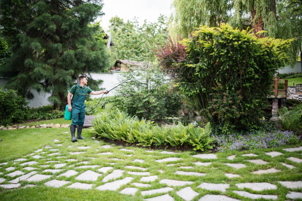 Reliable Inverness, CO Pest Control Solutions