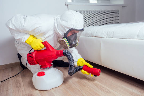 Best Wasp Removal Services  in Inverness, CO