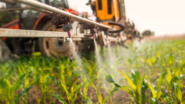 Best Insect Control  in Inverness, CO